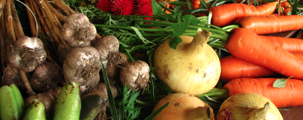 PaleoFX's tweet photo. Grow half your #paleo diet in less than an hour per day: https://t.co/yIPyBLwcCn #gardening https://t.co/GjmPFnI60T