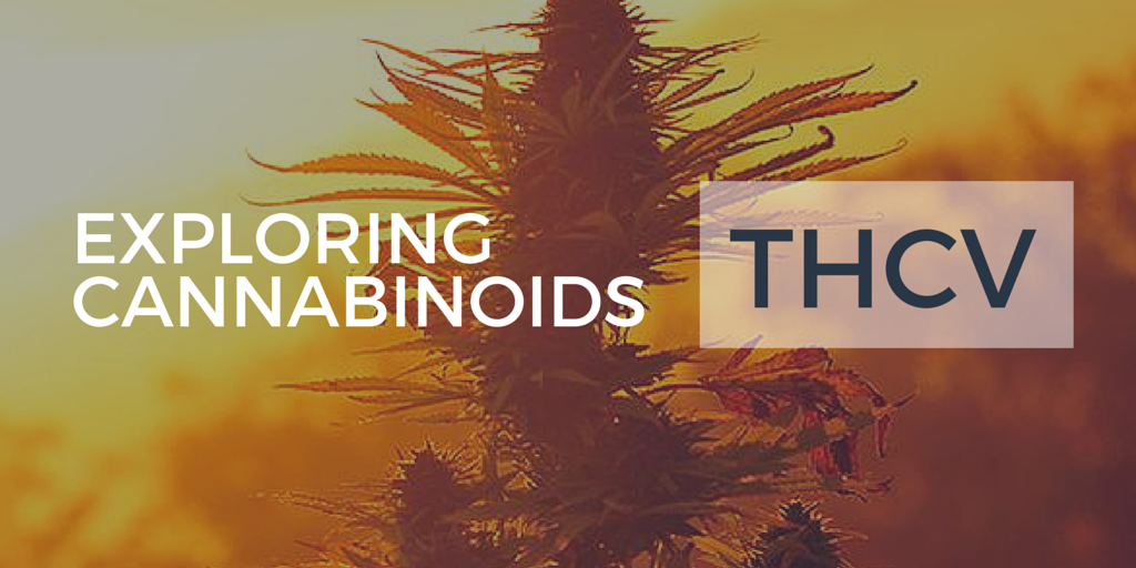 #Cannabis Strains #High in #THCV Actually Surpress #Appetite - mmjne.ws/1NgIFdy