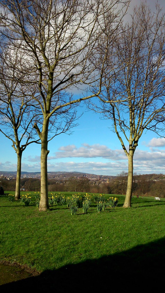 Emma Godley tweet media