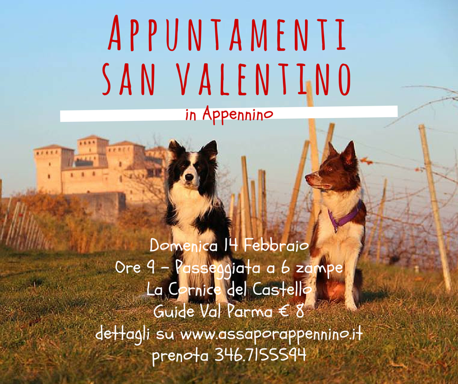 Donne di Torrechiara tweet media