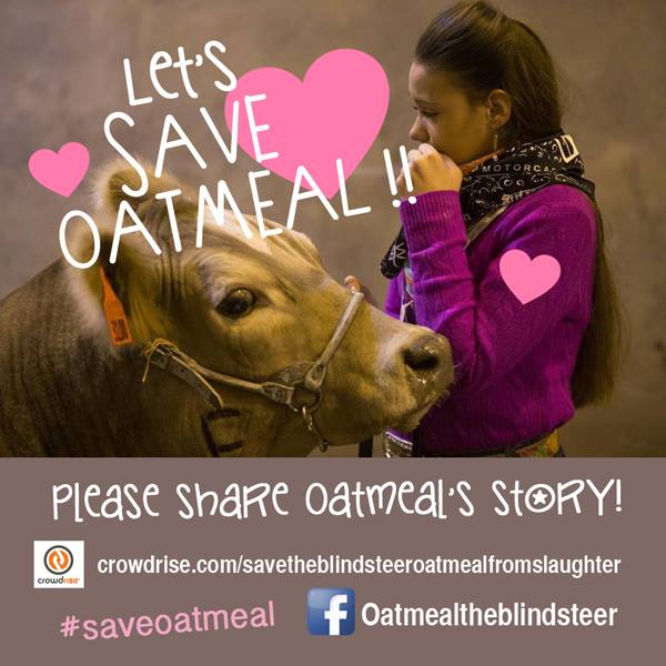 mjroyeleven11's tweet image. @WSBFW @fwssr Have A #Heart &amp;amp; Let @RowdyGirlRanch #SaveOatmeal 
#vegan #animal #vegetarian 
star-telegram.com/news/local/com…