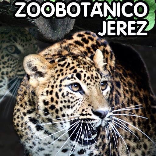 JerezesNatural's tweet photo. .@ZooJerez cumple 63 años. Felicidades y que sean muchos más!!!. #JerezesNatural. @vive_jerez https://t.co/pEW7lkqGQq