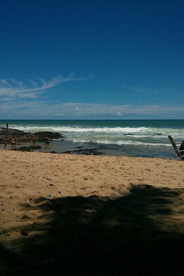 bbdaf's tweet image. #tachovendo