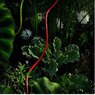 BizzLearning's tweet image. Le #tutorat, composante clé de la formation à distance #elearning &amp;gt; bit.ly/1V4gL87