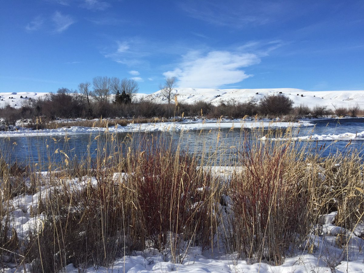BozemanAngler's tweet photo. The sun is shining this week and it's time to hit the river! #startoftheawesomeness #flyfishing #bozemanangler https://t.co/Syz4TDvw5i