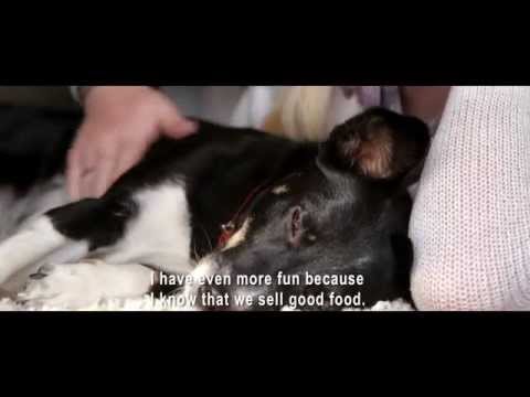 NBeetschen's tweet image. At Purina we work together to help enrich the lives of pets. Watch the video! bit.ly/1KFXoSt #iampurina