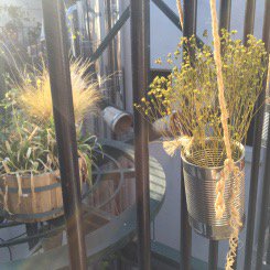 The Hat: a #hostel with a heart havepaprikawilltravel.wordpress.com/2016/02/09/the… #sustainability #travel #madrid #spain #españa #blog #kids