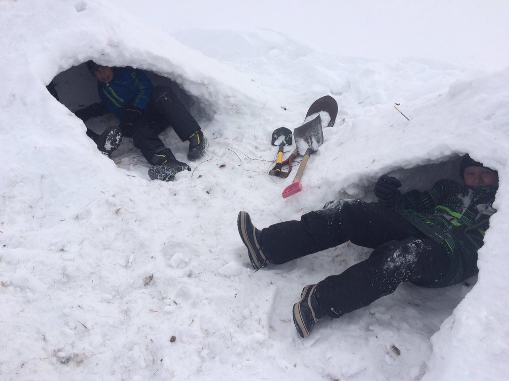 ShauneBeatty's tweet photo. Enjoy it when teachers turn the outdoors into a classroom. #OutdoorEd #Quinzees #PrideInThePaw https://t.co/pqq2frvUrt