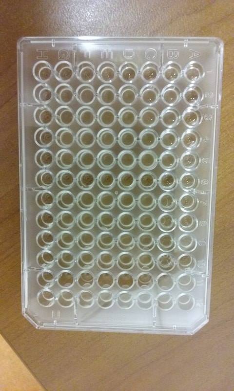 BacteriaCleaner tweet media