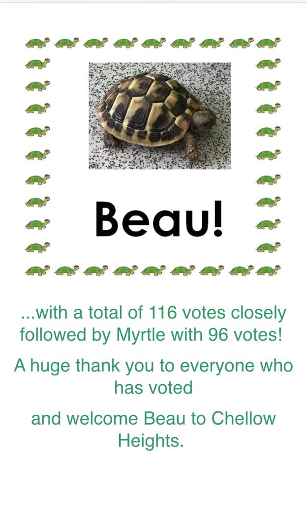 And the winner is... #nameourtortoise