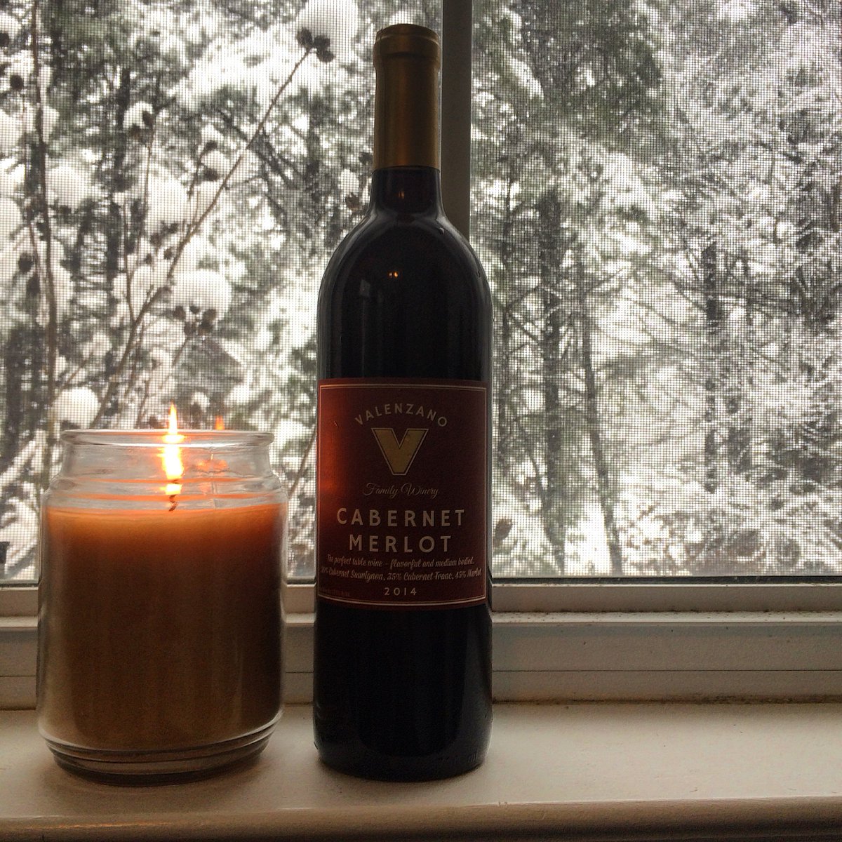 VisitSJersey's tweet photo. Next time it snows, curl up with a book and a bottle of Valenzano Cabernet Merlot #winewednesday @Valenzanowine https://t.co/ecaRK1yl9W