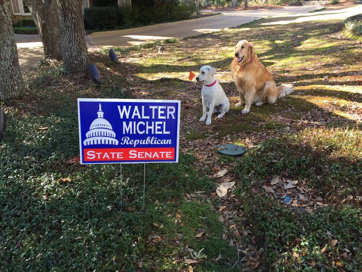 Yoshi and Sugar have a yard sign. Do you? #WalterMichelForSenate #msleg