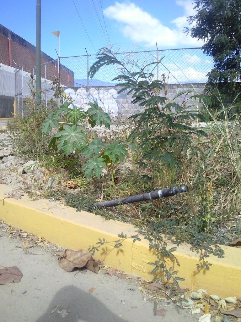 45Burgy's tweet photo. @HIDROCAPITALca beisbolmenor prospectos casarap solicita conectar tubo  d agua para el riego se enferman los niños https://t.co/YWPTapt3Qs
