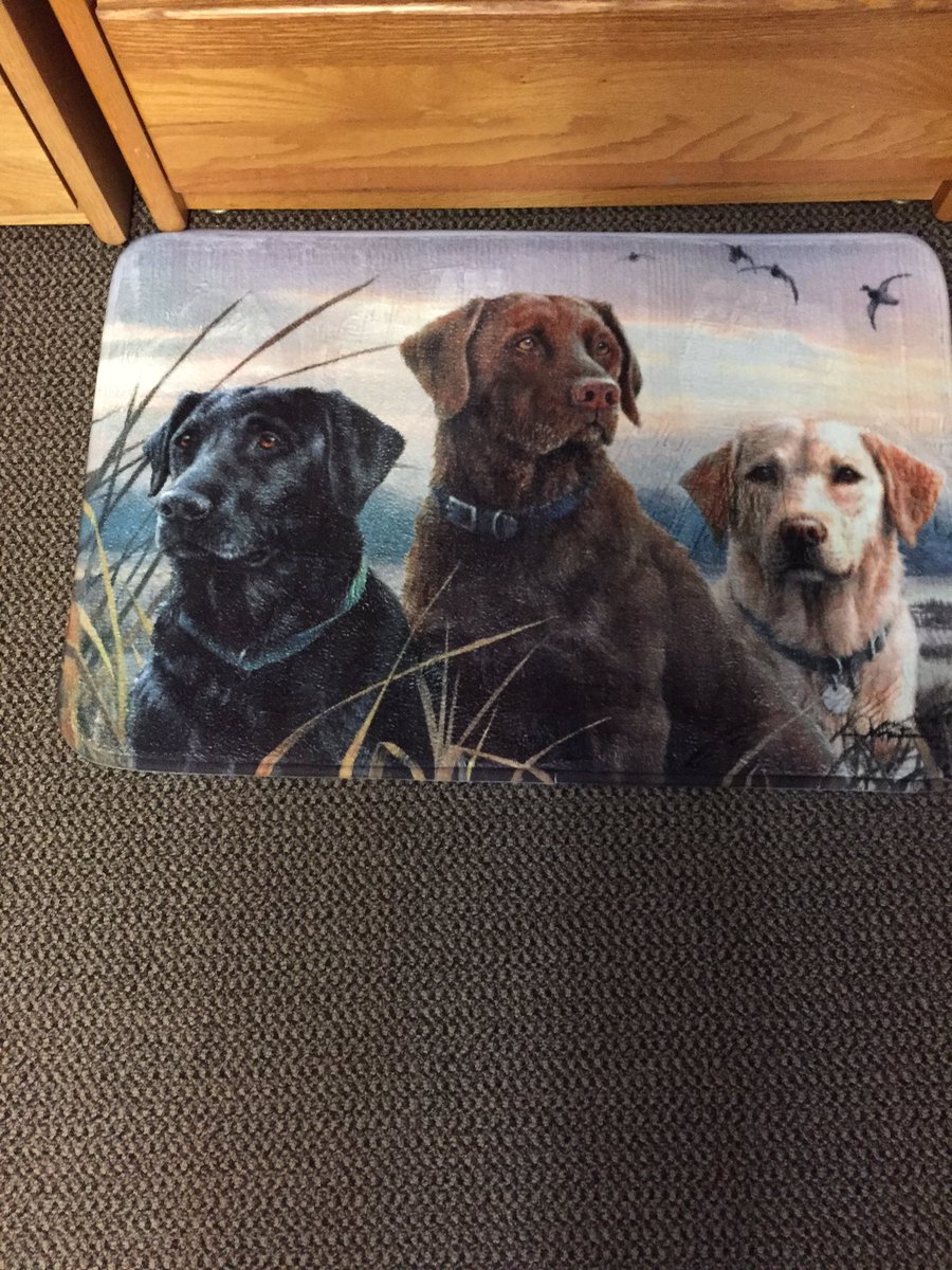 DirtRoadCollege's tweet photo. Only the finest decor for the dorm room. #dormlife #thecollegeway #duckdepression https://t.co/lhe1CRX8Ls