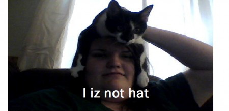 LOL_Cats (@lolcats_fun) on Twitter photo 