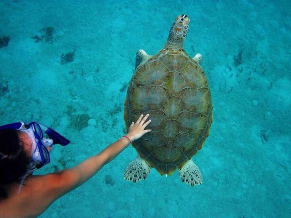 Exploring tweet media