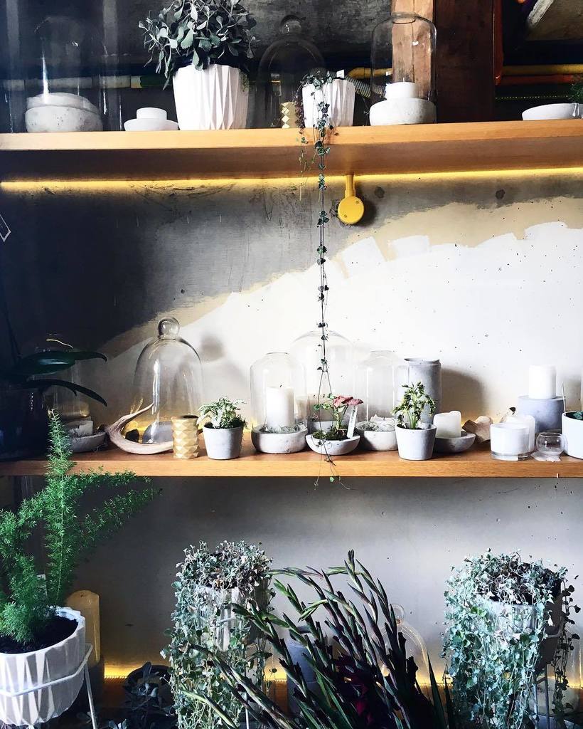IgorJosif's tweet photo. Auckland is a plant loving city. It's green and it has top notch plant stores &amp; florists like @thebotanistnz in the… https://t.co/41jCk3oG8N