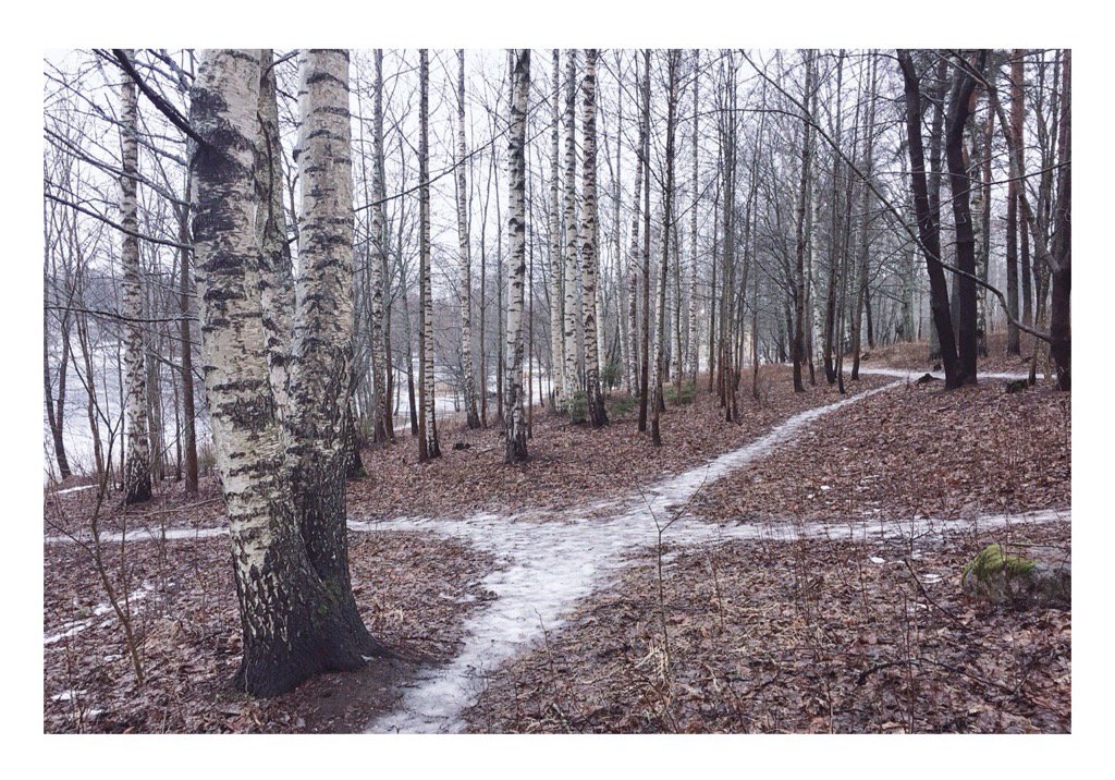 PHacklin's tweet photo. ΓkkiΓ€ maisema muuttui. #frozenpaths #february #lahti #iPhone6plus https://t.co/lgzV7W0pgL