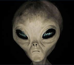 Maria De Filippy tweet media