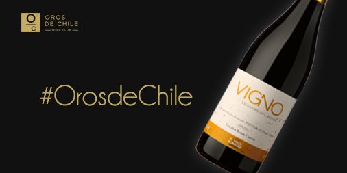 orosdechile's tweet photo. @VIGNOChile En boca es fresco, de acidez alta, taninos firmes y bien integrados, #vigno #carignan todo un oros https://t.co/THMG1VLYHb
