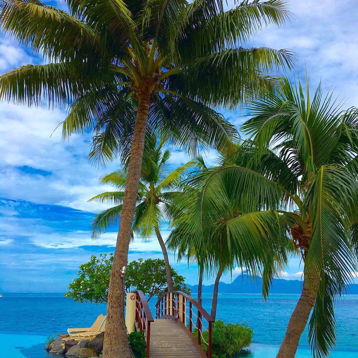 JetzyApp's tweet image. #Tahiti is always a #beautiful place to #travel. We love #beaches and #blueskies! Thanks @tysawyer for the photo!