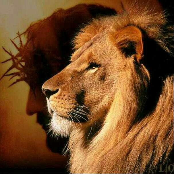 LillyLweli's tweet photo. My point exactly... #Love 😍 https://t.co/LLfWCSAKM0