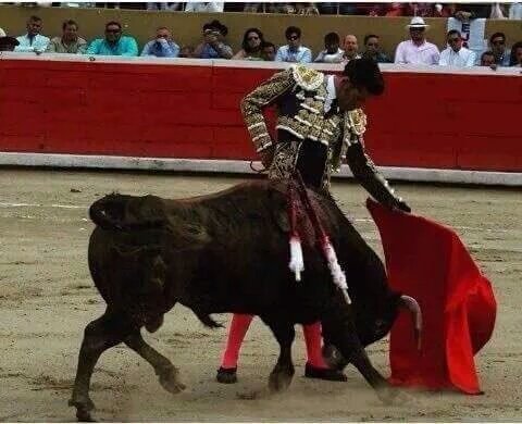 gustavonq7's tweet photo. Si, si es mago 👳, le desapareció como 380 kilos,pitones,Morillo,cara, vaya todo pues!!! Jajajaja #coperfield https://t.co/63zNaFNAut
