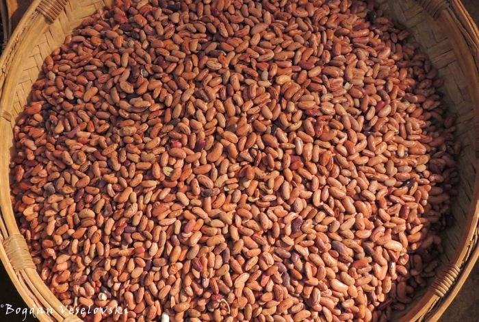 Access Health Africa tweet media