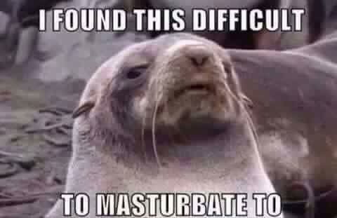 QQueisser's tweet photo. @BMS_Billy nard be like https://t.co/YBstrHwLcm