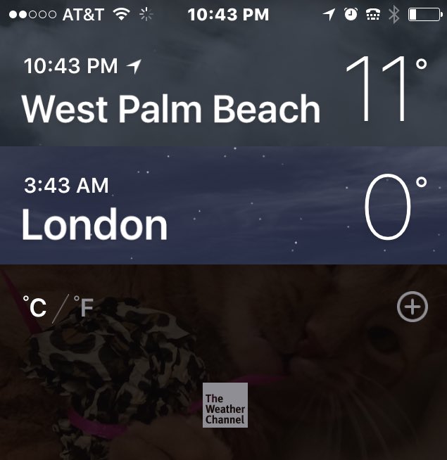 LiteraryLattes's tweet photo. Surely if I'm to be cold, it would be better while in London visiting the #MadPineapples? #FrigidFlorida https://t.co/4Phentoehs