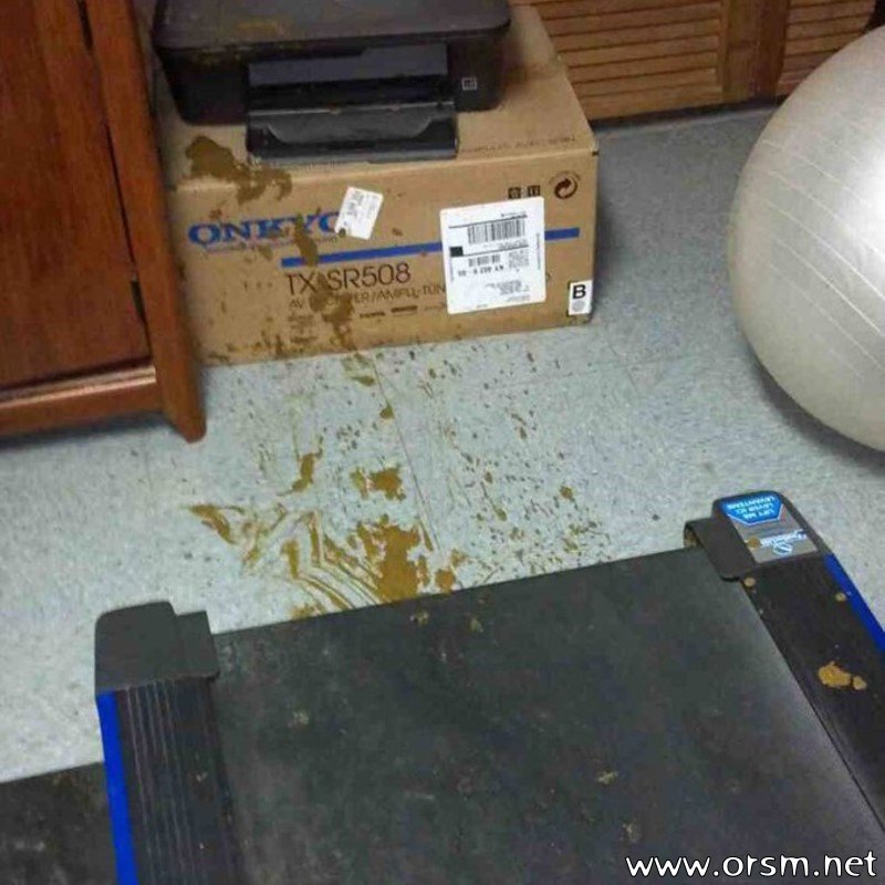 orsmdotnet's tweet image. WTF happened here?? Treadmill FAIL.

#orsmdotnet #workoutfail #fail #poop #treadmill #gymfail