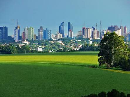 20 perguntas respondidas sobre significado do nome rita Adicione estes 10 Mangets à sua significado do nome rita
