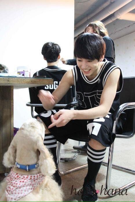 IostIive's tweet photo. cute baby w animals https://t.co/d6WXqMaM62