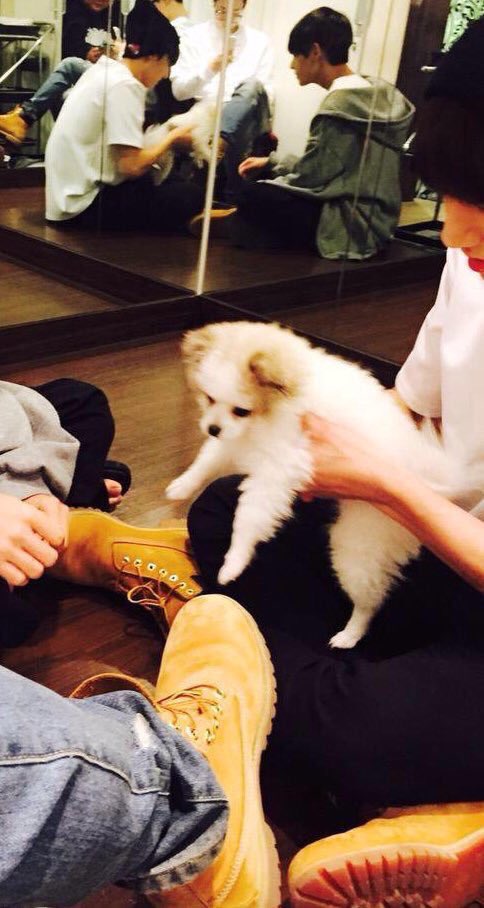 IostIive's tweet photo. cute baby w animals https://t.co/d6WXqMaM62