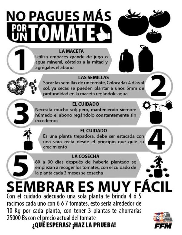 mindeporte_ve's tweet photo. #Juventud Ser parte de la solución es muy fácil --> aquí te damos el dato, siembra tomate en casa https://t.co/oFNUQwkF5t