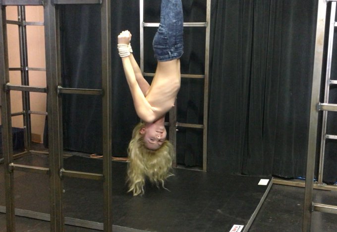 hogtiedgirl TW Pornstars - #suspensions, #bondage, #bdsm, #suspension, #hogtie videos  and pics