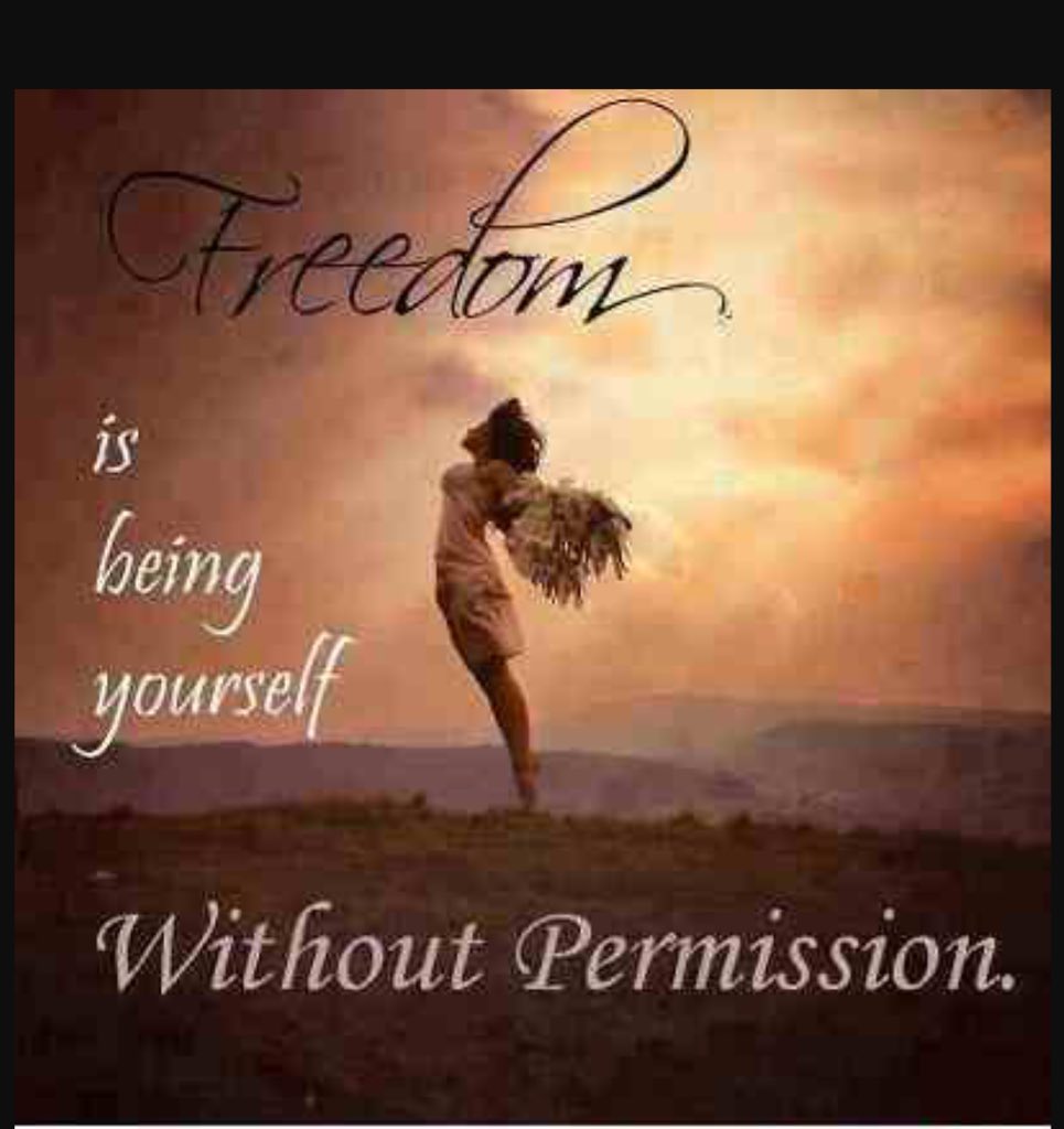 Lowkey_Wifey's tweet photo. Excited not to be a handmaid anymore happy to feel freedom once again 🙌🏽💯 #finallyfree https://t.co/rcCc6XAmGK