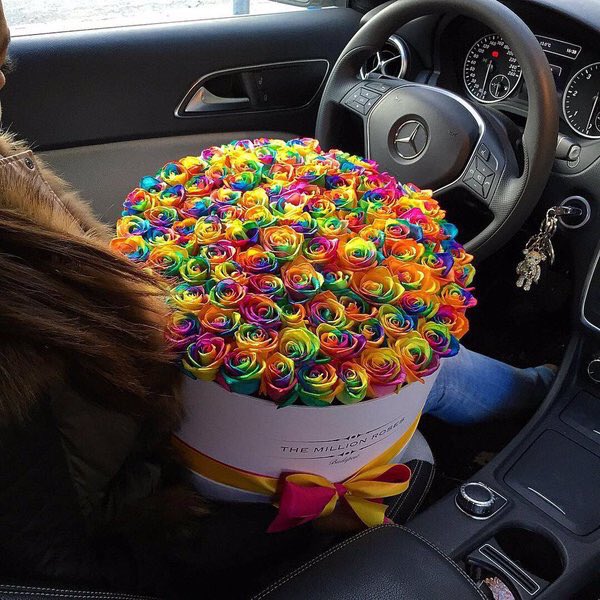 crazylifefacts_'s tweet photo. The Million Roses 😍🔥😍 https://t.co/dxM8FpRf3Q