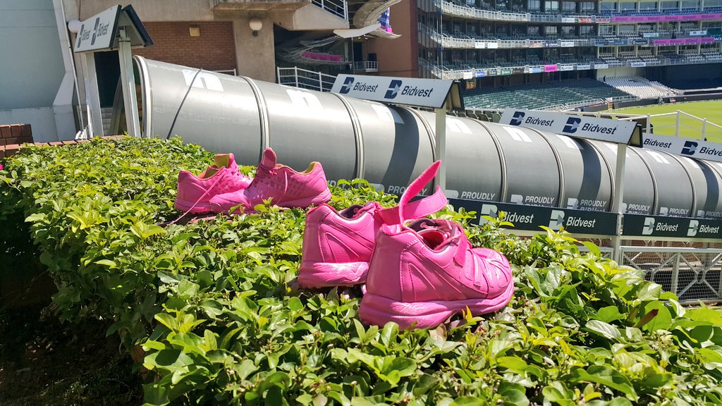 ProteasMenCSA's tweet photo. The Proteas and @BullringZA getting ready for the #pinkodi tomorrow. Going to be a cracker!! #ProteaFire #SAvENG https://t.co/tMaL5wlYFu