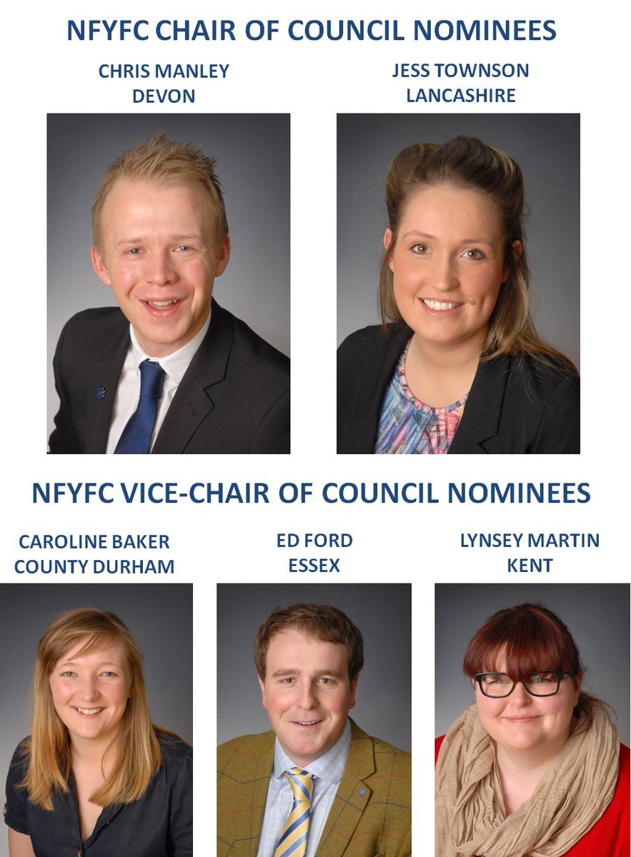 In 10 days, we will have a new national chair &amp; vice-chairs of council. Who gets your vote? bit.ly/XSiIGK