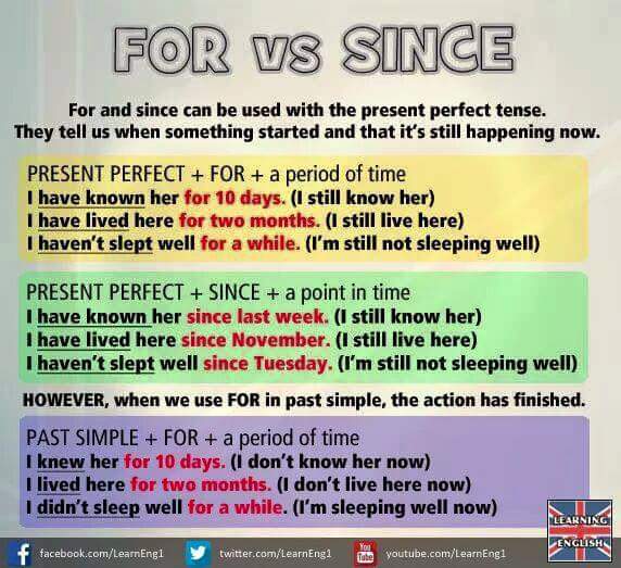 Adele Raemer tweet media