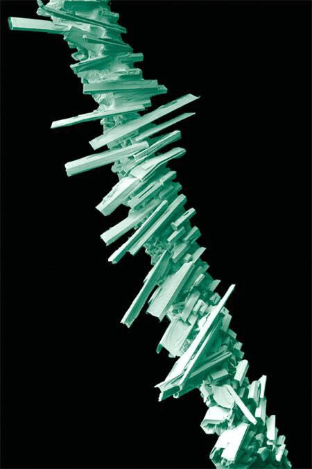 Frost on a grass leaf viewed through a microscope. Any wonder then why wheelmarks show up for weeks as yellow lines!