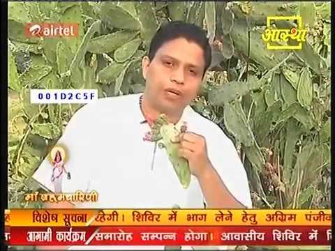 #ayurvedic Ayurvedic &amp; Home Remedies for Heart Diseases by Acharya Balkrishan - ayurvedichq.net/ayurvedic-home… #RT #Retweet