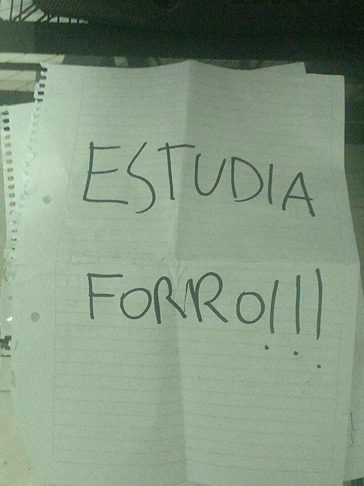 histeriforra.✨ tweet media