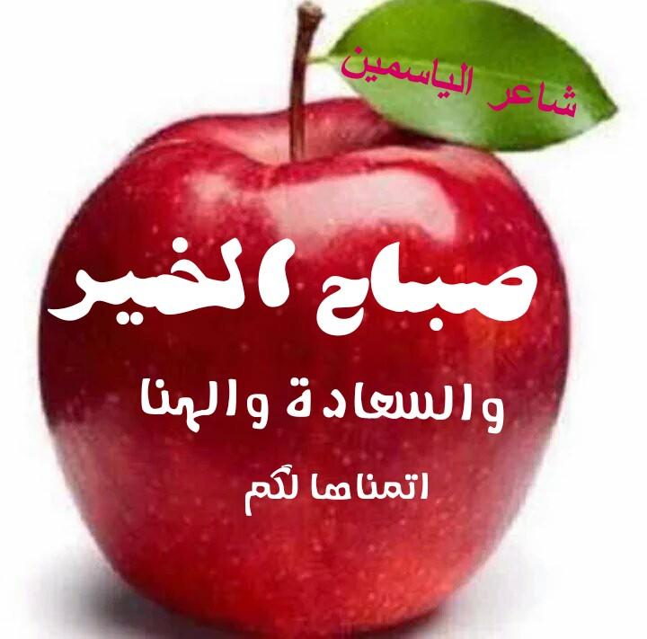 صباح الفل والياسمين