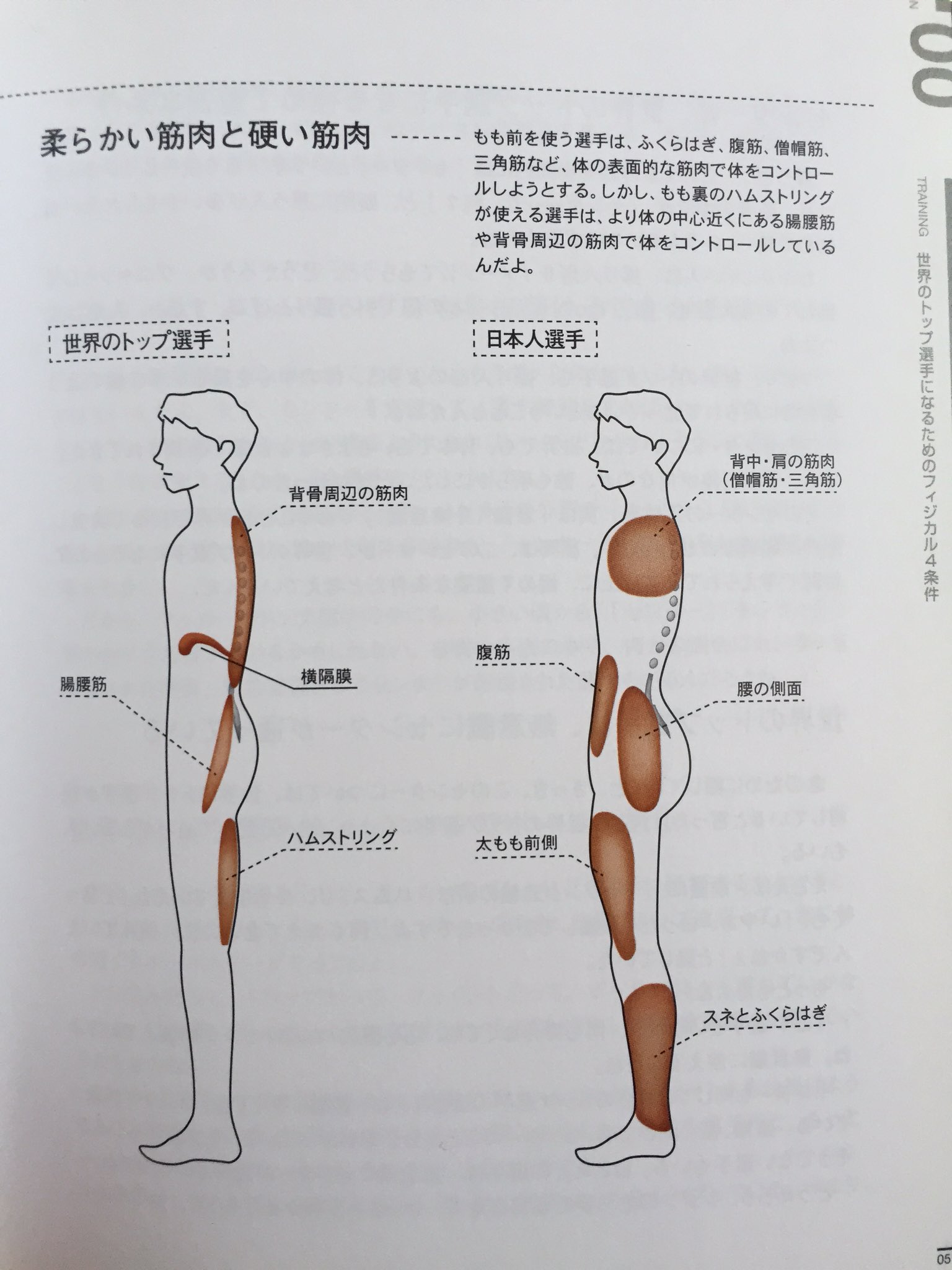 Mr Popo Covid 19ver 多くの日本人は右側の筋肉の付き方で筋肉がガチガチ 太ももの前がかなり発達している 筋トレ後にストレッチしていないやつらの多くはこれに該当するのではないか T Co Fohzuszcjj Mr Popo Covid 19ver 多くの日本人は右側の筋肉の付き方で筋肉がガチガチ 太ももの前がかなり発達している 筋トレ後にストレッチしていないやつらの多くはこれに該当するのではないか T Co Fohzuszcjj