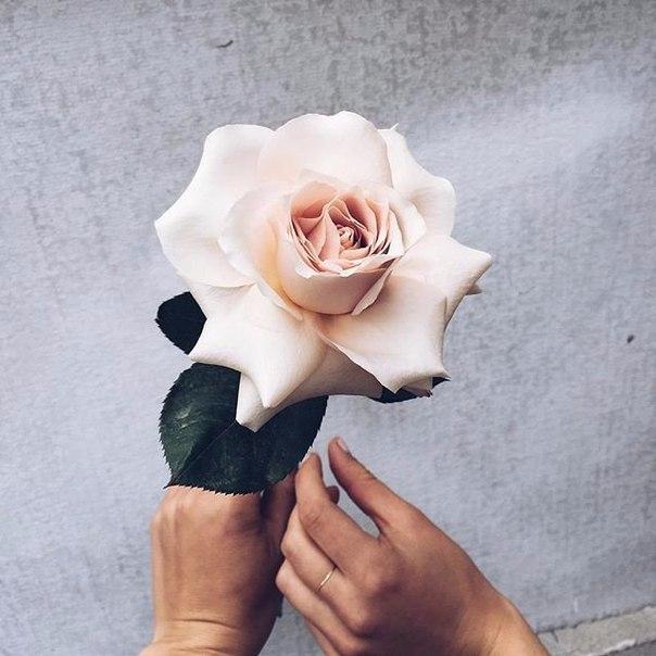 clinic32dent's tweet image. Доброе утро, наши дорогие подписчики! ☺️ Скоро весна и совсем скоро будет много-много цветов и тепла🌻🌷