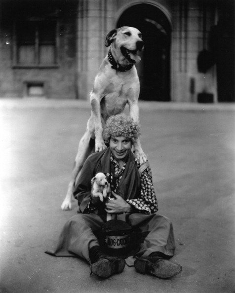 BrothersMWeb's tweet photo. Harpo Marx from #TheMarxBrothers. Photograph. About 1935. https://t.co/HH60Qervt5