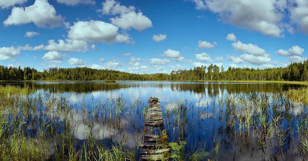 LibraryTravel's tweet image. Lake Aalupi, Estonia. 🌲🌲 Tag your travel buddy! 😁😁🙌 #mytravellibrary #travellife #travelpo… ift.tt/20qrVpl