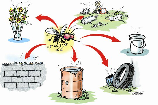 Elimina el agua estancada de recipientes,charcos y blocks de construcción  para evitar los criaderos de mosquitos.